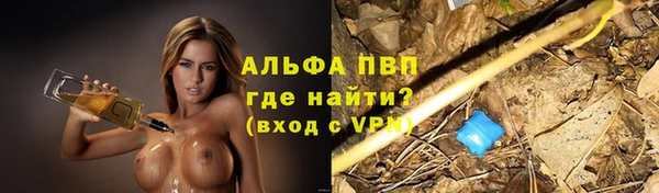 твердый Дмитриев