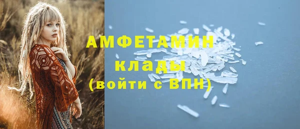 индика Дмитровск