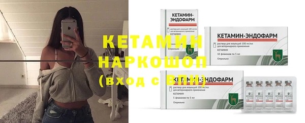 индика Дмитровск