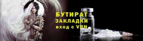 индика Дмитровск