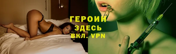 индика Дмитровск