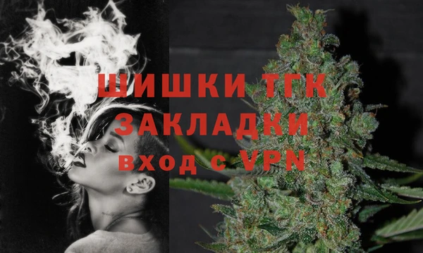 твердый Дмитриев