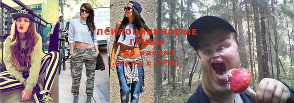 индика Дмитровск