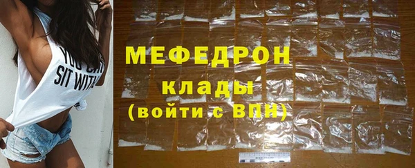 индика Дмитровск