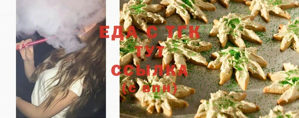 индика Дмитровск