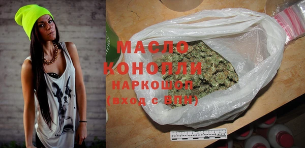 индика Дмитровск