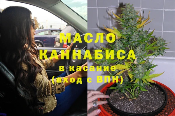 твердый Дмитриев